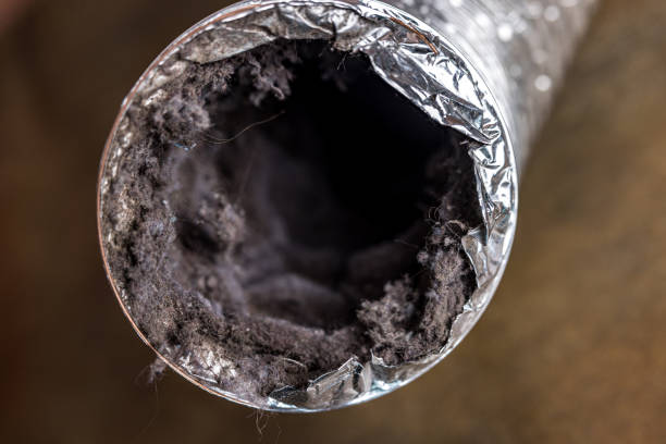 Best Home Air Vent Cleaning  in , VA